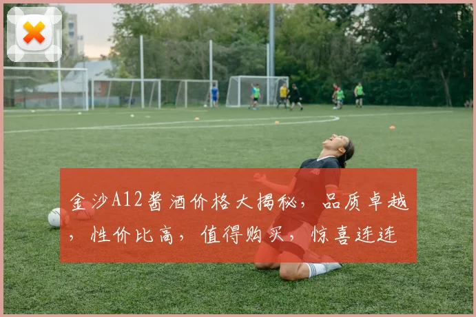 金沙A12酱酒价格大揭秘，品质卓越，性价比高，值得购买，惊喜连连
