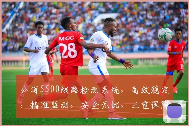 公海5500线路检测系统，高效稳定，精准监测，安全无忧，三重保障，首选之选